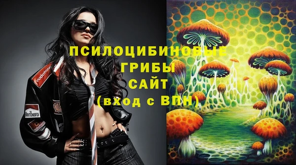 PSILOCYBIN Волоколамск