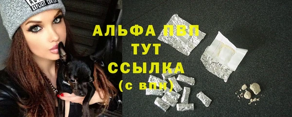 PSILOCYBIN Волоколамск