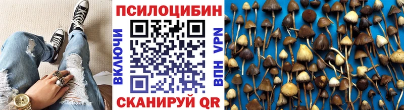 где купить   MEGA ССЫЛКА  Псилоцибиновые грибы мицелий  Пушкино 