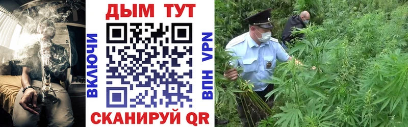 купить закладку  Пушкино  Бошки Шишки Amnesia 